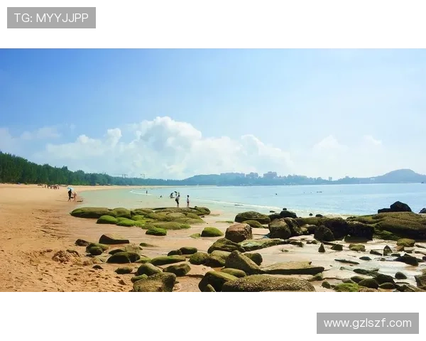 足球明星比拉尔的精彩瞬间与个人魅力全景展示